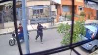 Perras callejeras salvan a un hombre de ser asaltado en Argentina