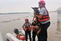Un perro fue abandonado en un islote del río Guayas. 