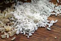 Ministerio de Agricultura fijó precio mínimo de sustentación del arroz