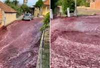 Ríos de vino tiñeron de rojo las calles de una localidad de Portugal