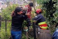 Bomberos de Quito rescataron a un joven y su mascota de una quebrada