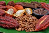 Un estudio demuestra que el cacao se usaba 1.500 años antes que en México.