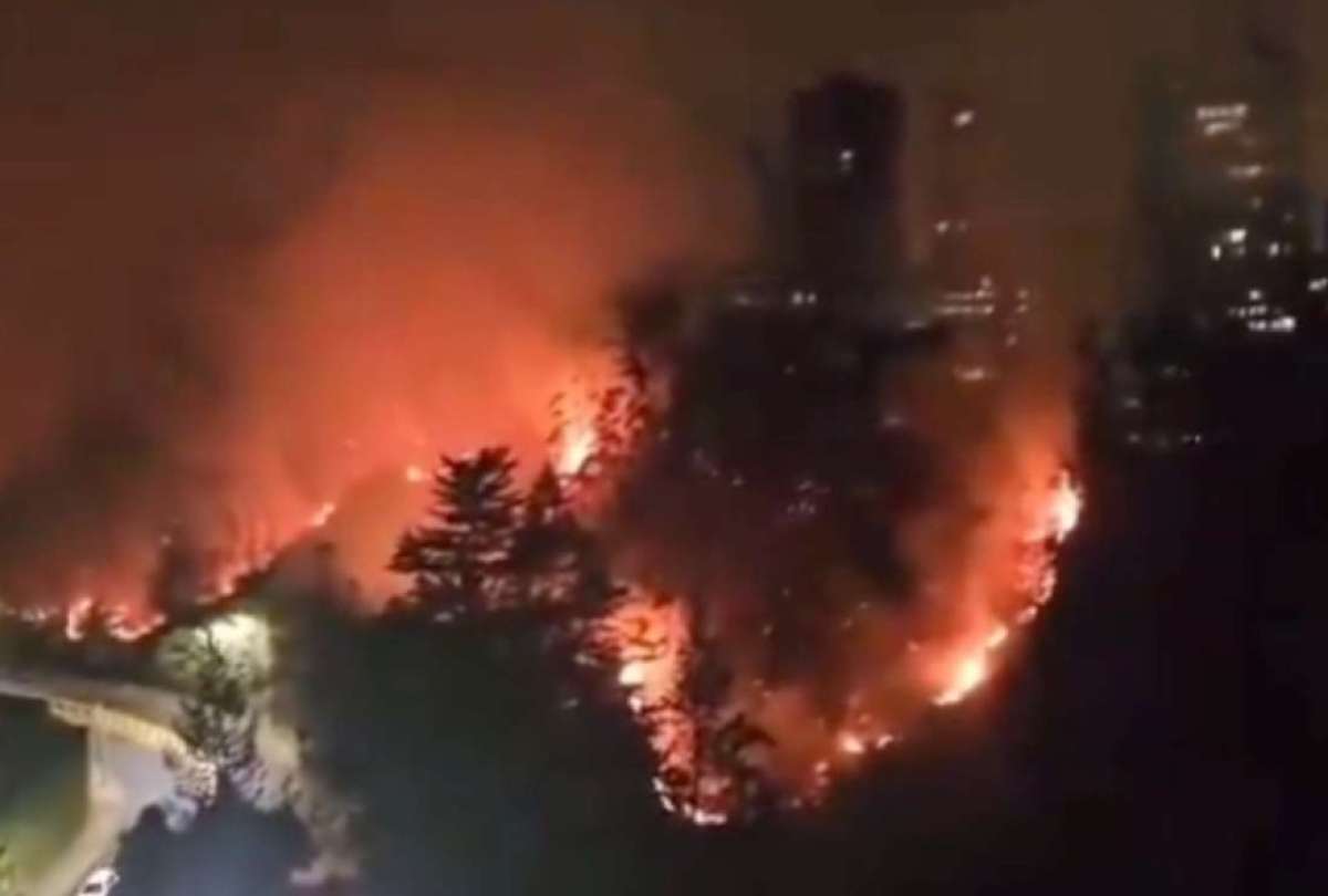 En Guápulo se registró el pasado 24 de septiembre un incendio forestal que dejó graves pérdidas. Se ratificó la sentencia de prisión al responsable.