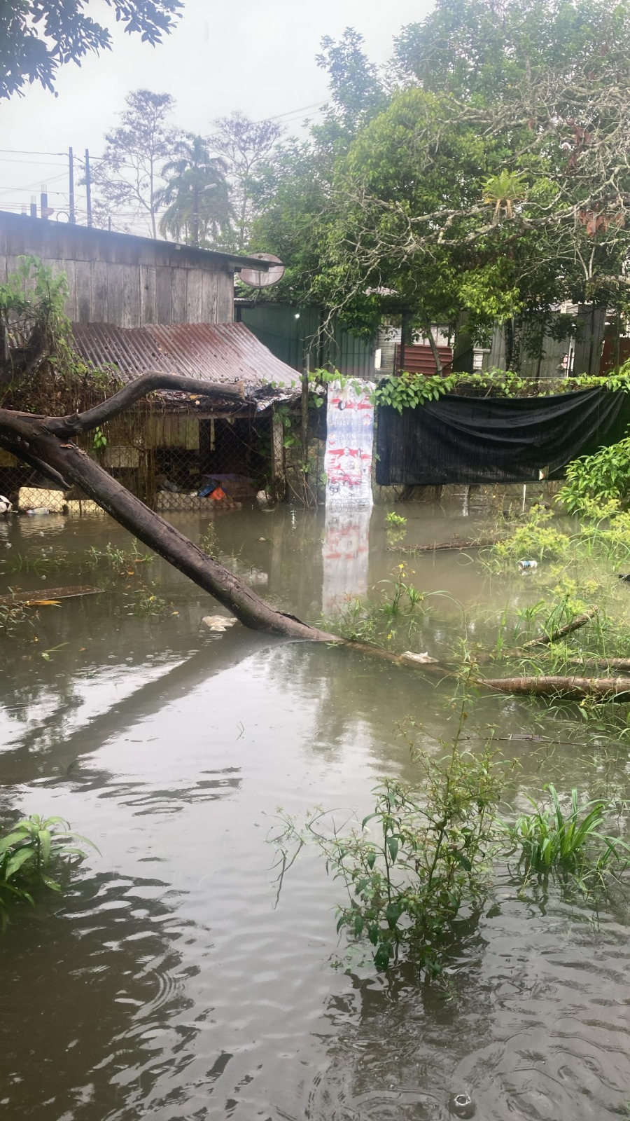 351e5655-df51-40d9-bd6d-039b2f61a392