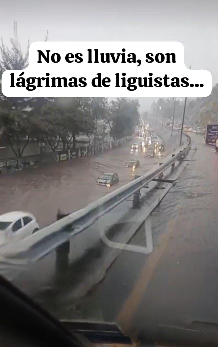 8c9a9066-84da-4d3b-b3fd-3c0b6eeed3c4