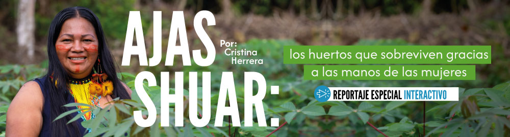 Ajas Shuar los huertos que sobreviven gracias a las manos de las mujeres