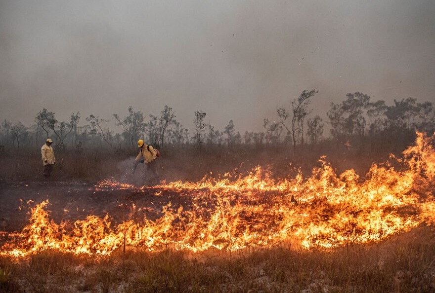 El 2024 ha representado un año récord para los incendios forestales en la Amazonía. Foto: COIAB. El 2024 ha representado un año récord para los incendios forestales en la Amazonía. Foto: COIAB.
