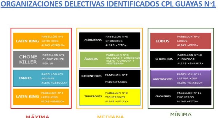 grupos
