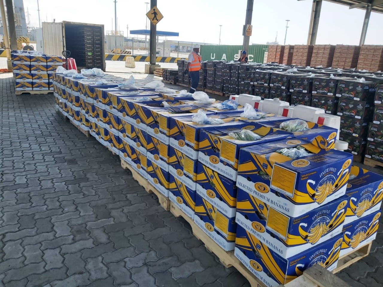 whatsapp_image_2022-08-20_at_11.51.36_am