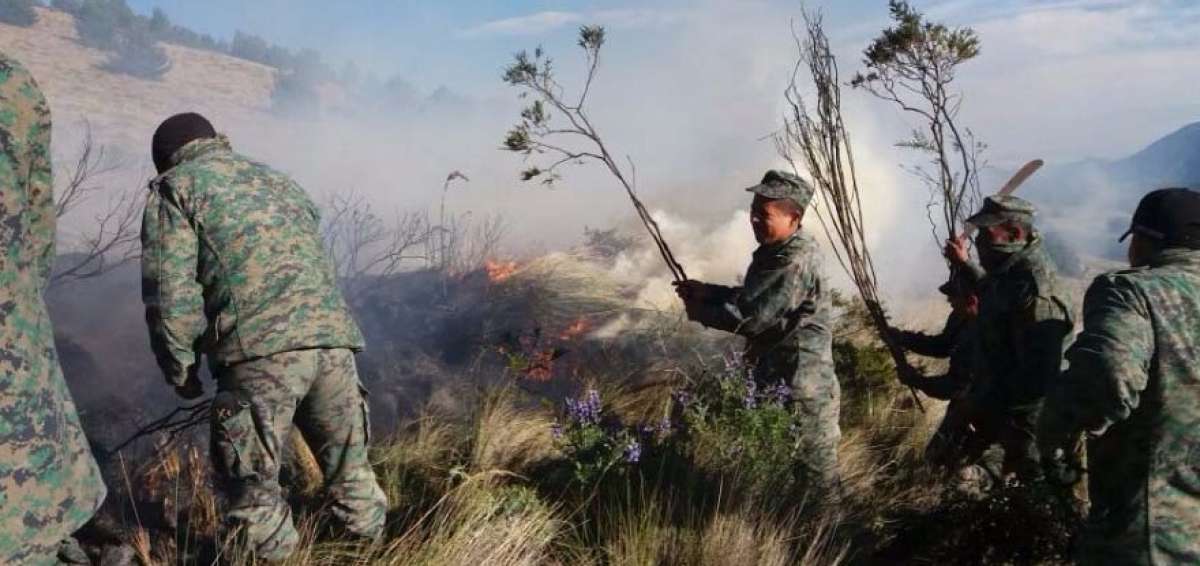 Controlan incendio en cerro El Coraz&oacute;n presuntamente provocado