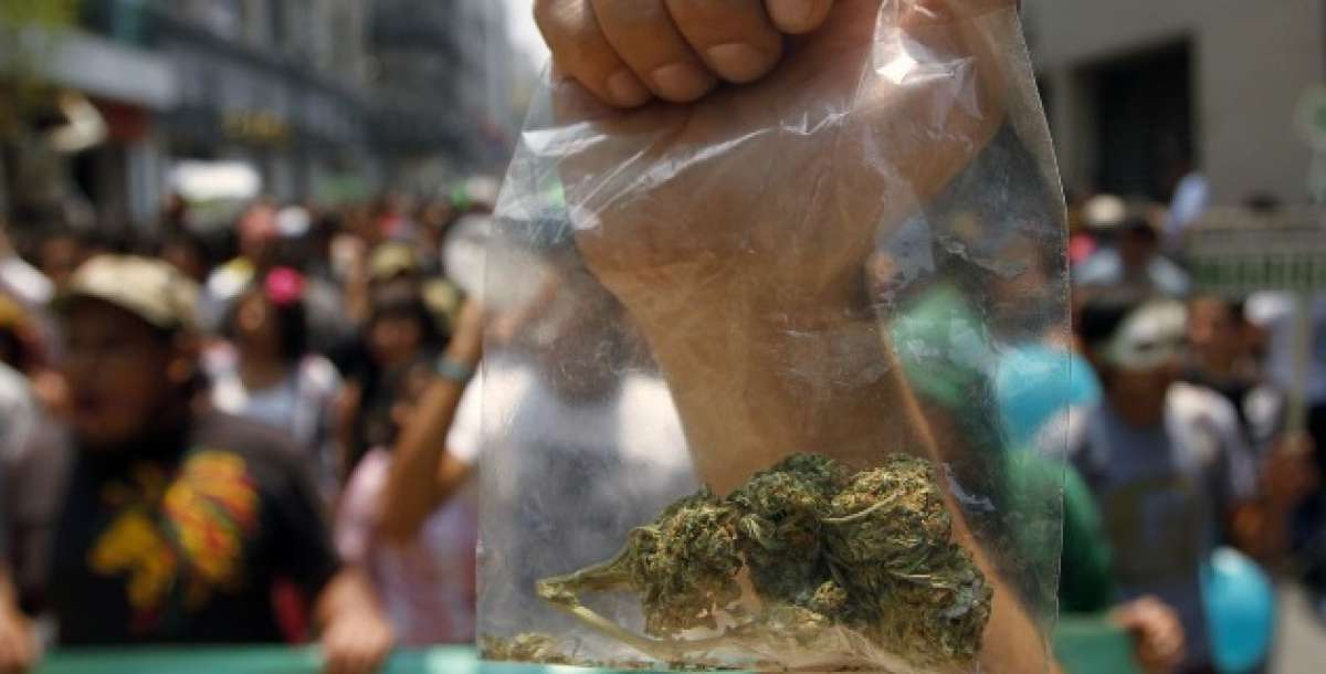 La hoja de coca, el gran tema tras la marihuana