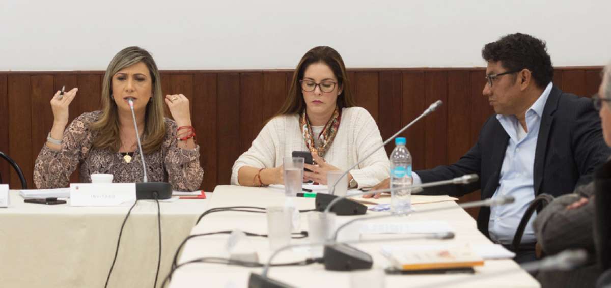 La gerenta de los medios incautados, Martha Moncayo (izq.), present&oacute; una radiograf&iacute;a de la crisis que afrontan las empresas incautadas a los Isa&iacute;as.