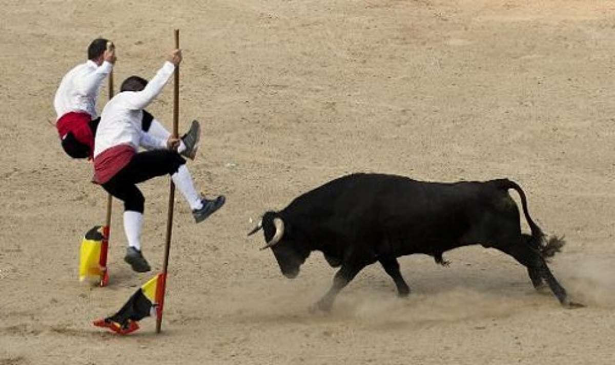 En Colombia la ley no proh&iacute;be las "corralejas", pero la Corte Constitucional ya ha fallado contra el maltrato animal. Foto: Archivo / AFP