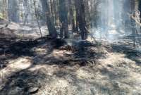 El Cuerpo de Bomberos sofocó varios incendios al norte de la capital.