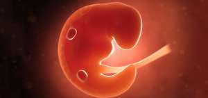 Pol&eacute;mica por aborto de irlandesa en Reino Unido aviva el debate de esta pr&aacute;ctica