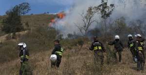 Foto: Miguel Jim&eacute;nez/El Tel&eacute;grafo 