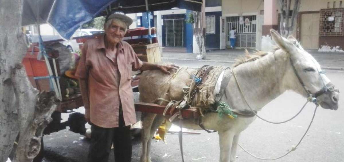 Las compras las realiza en un mercado minorista. El &eacute;xito de su trabajo se basa en las ventas puerta a puerta.
