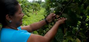 Petroamazonas invierte en proyectos sociales en comunidades de la Amazon&iacute;a y el Litoral. 