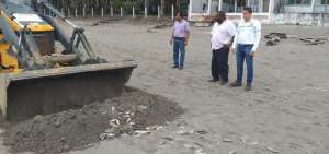 Funcionarios de la cartera de Estado ambiental examinaron la zona donde aparecieron los animales.