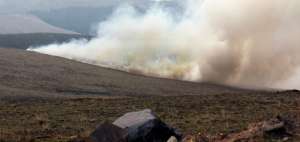 El s&aacute;bado hubo dos grandes incendios en los cantones P&iacute;llaro y Ba&ntilde;os, en Tungurahua, donde se consumieron m&aacute;s de 65 hect&aacute;reas de bosque.