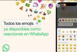WhatsApp despliega las reacciones con &#039;emojis&#039; en los estados en su última beta para Android