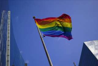 Falso. La comunidad GLBT respalda de manera unánime a una candidatura