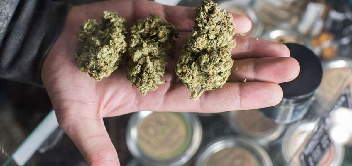 Los consumidores disponen de cuatro variedades del producto, que es cultivado por dos empresas privadas controladas por el Estado. 