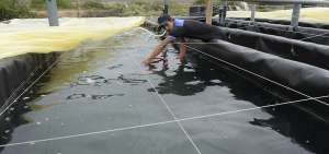 Las piscinas  son atendidas por ocho personas que trabajan en tres turnos.