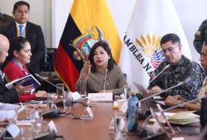CAL ratifica que la Comisión de Seguridad es la única competente para fiscalizar los hechos del paro