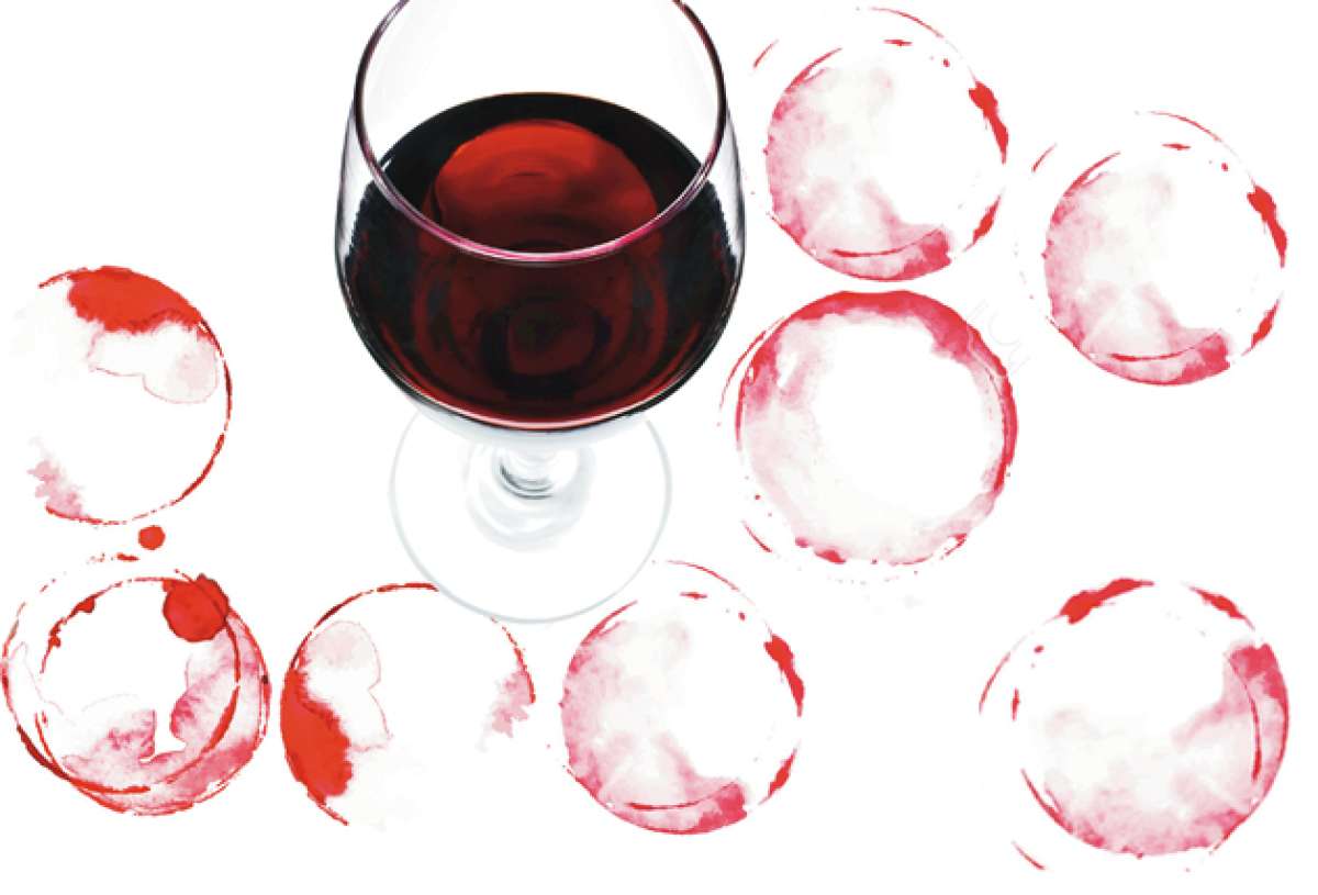 Cada vino es &uacute;nico y tiene sus caracter&iacute;sticas particulares proporcionadas por las cepas (tipo de uva), la regi&oacute;n, el pa&iacute;s y la enolog&iacute;a de la bodega.