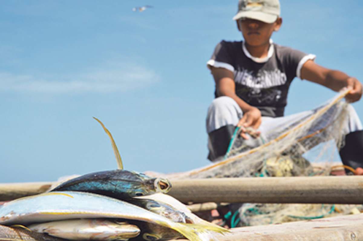 La flota artesanal ecuatoriana cuenta con un promedio de 18.000 embarcaciones de 3 pescadores. Foto: Lylibeth Coloma .