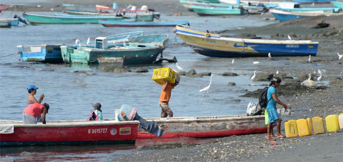 Pescadores artesanales solicitan seguridad en alta mar y respeto de pesca en las ocho millas n&aacute;uticas.