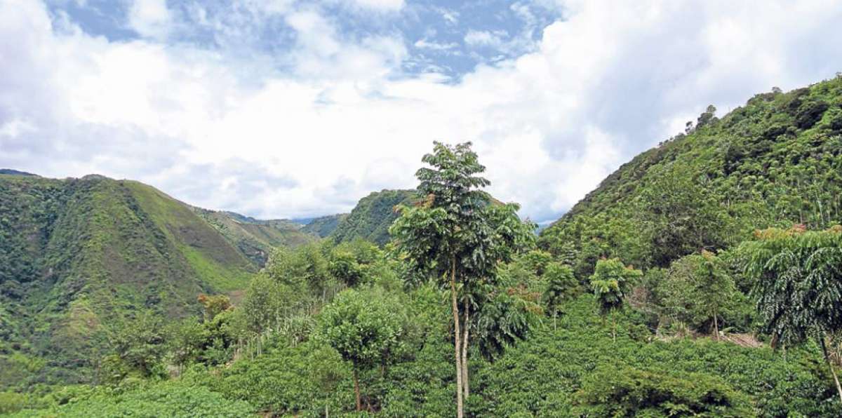 Con una extensi&oacute;n aproximada de 1.462 km&sup2;, Intag se ubica en el cant&oacute;n Cotacahi y Otavalo.  