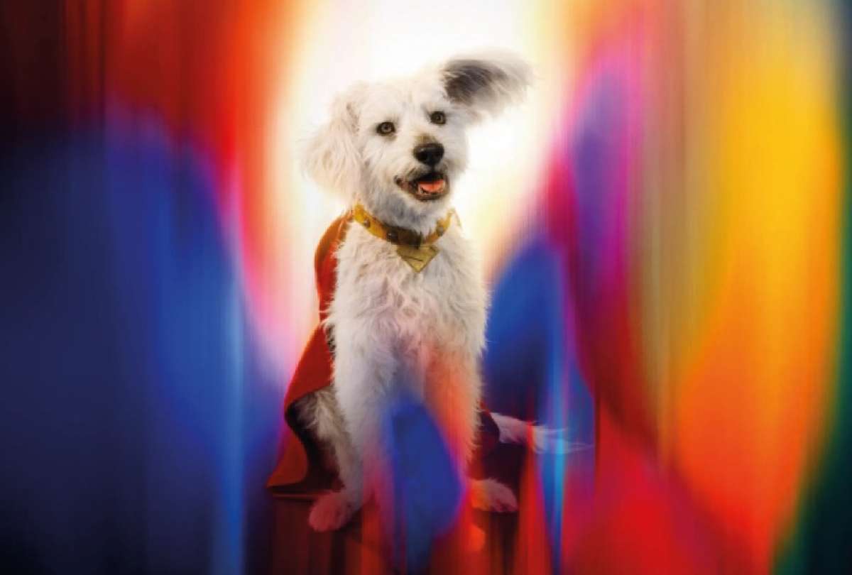 Krypto, el superperro de Superman, dispara las adopciones de mascotas tras su éxito en cines