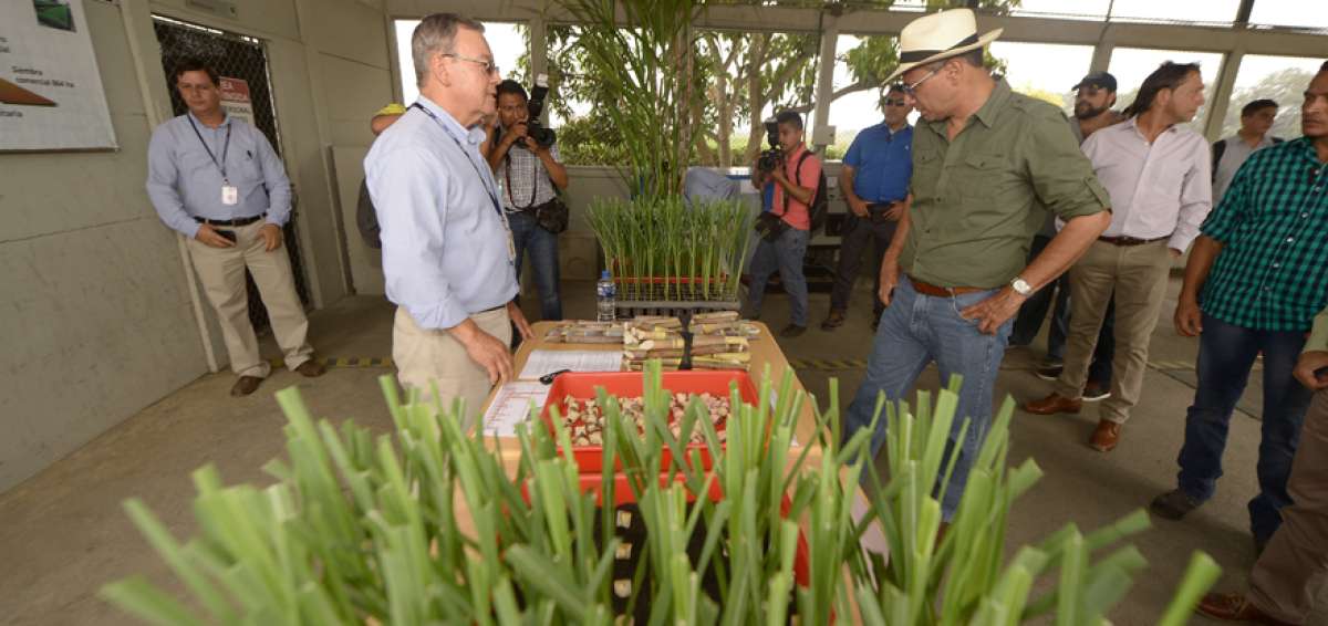 El vicepresidente de la Rep&uacute;blica, Jorge Glas (der.), constat&oacute; los avances en ca&ntilde;a que registra el Cincae.