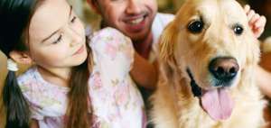 Hoy en d&iacute;a, los perros, tal como cualquier persona, tienen especialistas que se encargan de su salud. Hay dentistas, cardi&oacute;logos, traumat&oacute;logos, radi&oacute;logos, entre otras especialidades m&eacute;dicas.