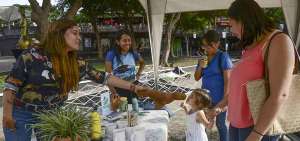 Cada vez son m&aacute;s las organizaciones que se preocupan por el medio ambiente y realizan acciones para educar a la ciudadan&iacute;a sobre la importancia de proteger los recursos naturales.