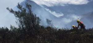 Los bomberos cumplen con labores para sofocar las llamas en el cerro. 