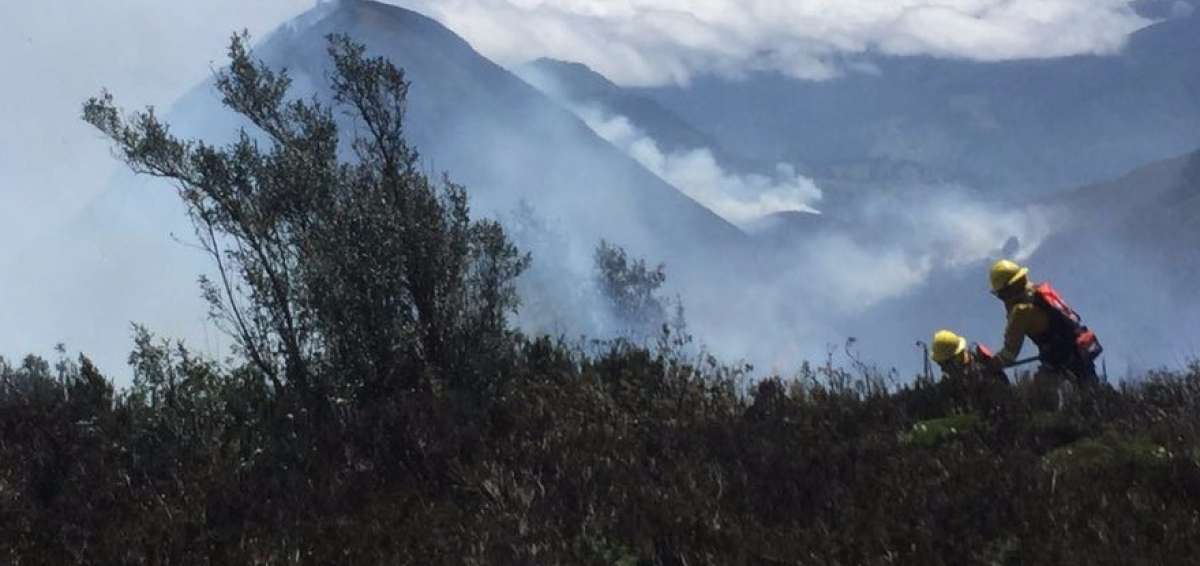Los bomberos cumplen con labores para sofocar las llamas en el cerro. 
