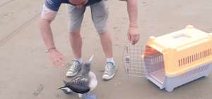El rescate tuvo lugar en las playas de Puerto L&oacute;pez.