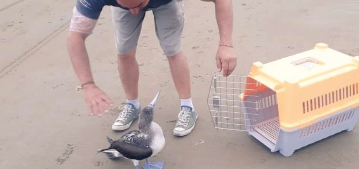 El rescate tuvo lugar en las playas de Puerto L&oacute;pez.