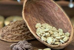 Nuevas empresas que generan rentabilidad con negocios sostenibles
