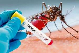   El ministro de Salud, José Lama, señaló que las cifras de contagios y muertes por dengue se redujeron en comparación al 2024. 