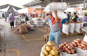 El quintal de papa s&uacute;per chola, la preferida por su f&aacute;cil preparaci&oacute;n de frituras, cuesta $ 22. En enero, las 100 libras val&iacute;an $ 21. Fotos: Roberto Ch&aacute;vez | El Tel&eacute;grafo