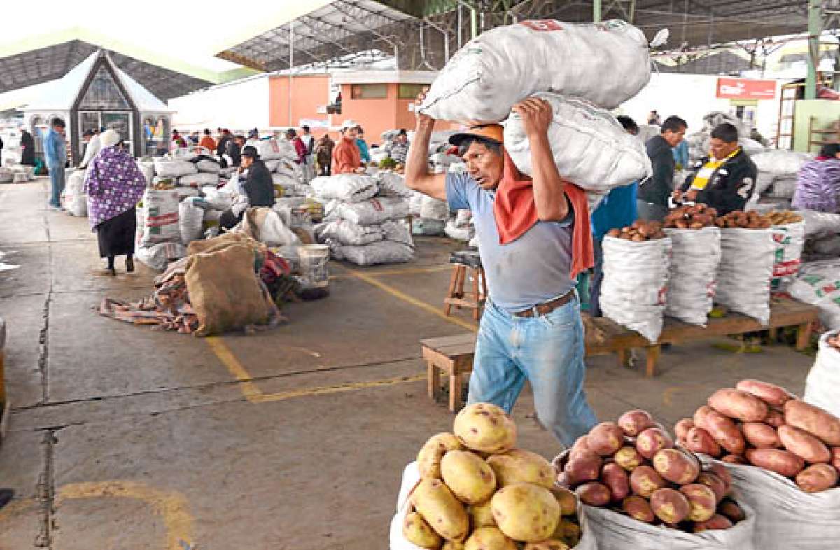 El quintal de papa s&uacute;per chola, la preferida por su f&aacute;cil preparaci&oacute;n de frituras, cuesta $ 22. En enero, las 100 libras val&iacute;an $ 21. Fotos: Roberto Ch&aacute;vez | El Tel&eacute;grafo
