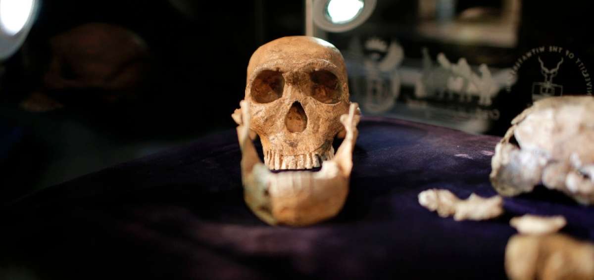 Un estudio ha revelado la existencia del Homo naledi, un humanoide sorprendente, dotado al mismo tiempo de caracter&iacute;sticas de viejas especies con millones de a&ntilde;os.