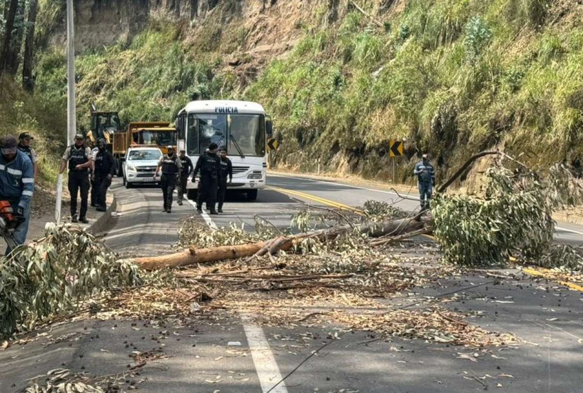 Los uniformados retiran palos, piedras y escombros de las vías.  