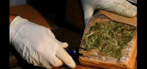 Dos ciudadanos son procesados por tr&aacute;fico de drogas