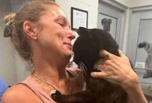 Mujer encontró a su gato 10 años después de su desaparición