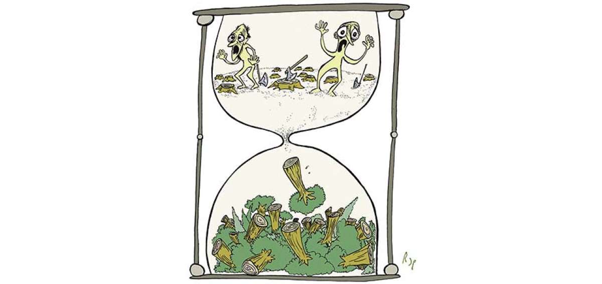 La caricatura del d&iacute;a